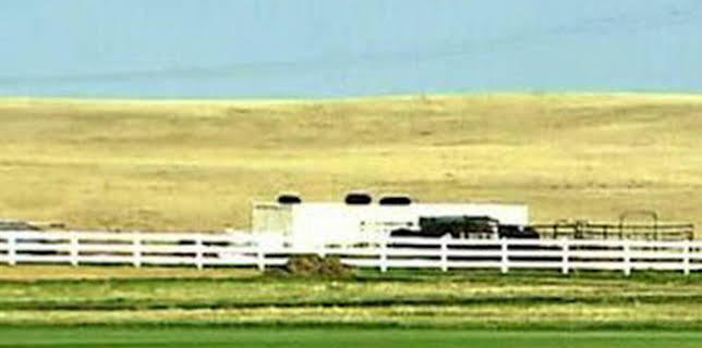 13:30: Así se hace (MAX): Césped/Carne de ternera curada/Bolos | Discovery | 2/18 2026