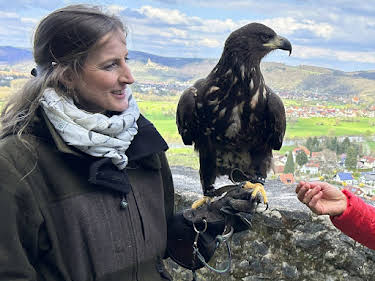 21:00: Expedition in die Heimat | SWR Fernsehen RP | 5/22 2026