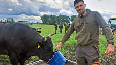 04:10: Die Nordreportage: Die Farmer von der Elbinsel | Radio Bremen | 8/10 2026