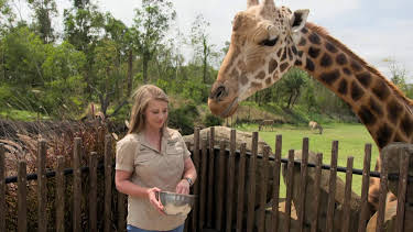13:10: Crikey! It's the Irwins (S1 E7) (S1) | Animal Planet | 12/27 2025