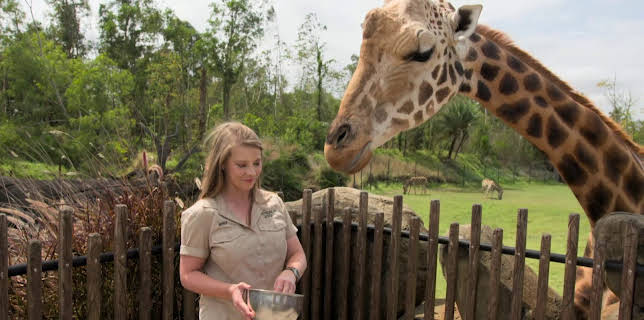 17:00: Crikey! It's the Irwins (S1 E7) (S1) | Animal Planet | 12/16 2025
