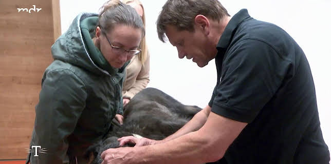 03:40: Tierarzt für alle Felle | MDR Fernsehen | 12/24 2025