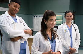 Nye Doktor Doogie: Aloha, som i hallo