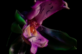 VR Troopers Season 1 Volume 1: Secret Admirer