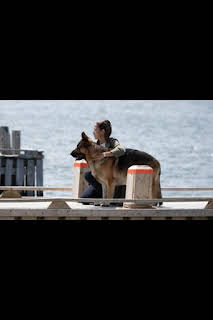 20:11: Hudson y Rex (T7): Ep.3 Mariscos Para Siempre | AXN | 4/7 2026