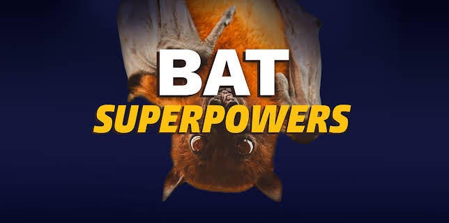 Bat Superpowers (2021)