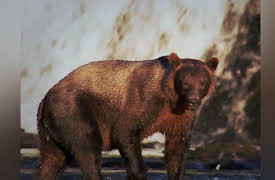 North America Season 1: Top Ten