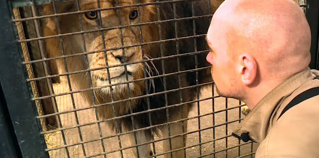 11:30: Die Nordreportage: Großputz zwischen wilden Tieren | NDR Fernsehen | 3/10 2026