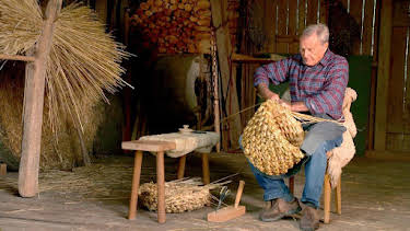 11:00: Österreichs Landleben | ARD Alpha | 4/20 2026