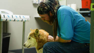 3:00 PM: Dr. Jeff: Rocky Mountain Vet (S6) | Discovery Channel | 9/1 2026