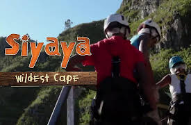 Siyaya - Wildest Cape: Hottentots Holland Nature Reserve - On Angel's Wings
