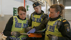 Border Control: Sweden (S1 E11)