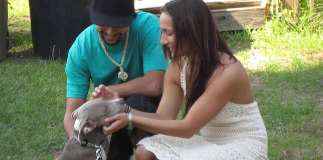 15:00: Pit Bulls & Parolees (S4 E5) (S4) | Animal Planet | 12/14 2025