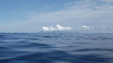 8:00 AM: How Do Animals Do That? (S1) | Discovery Channel | 4/4 2026