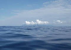 How Do Animals Do That?