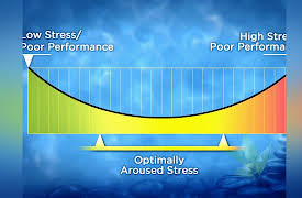 How to Make Stress Work for You: Why You Stress: Arousal and Value Judgment