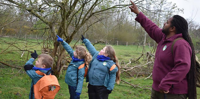 12:20 PM: Ranger Hamza's Eco Quest (S1) | Cbeebies | 1/25 2026