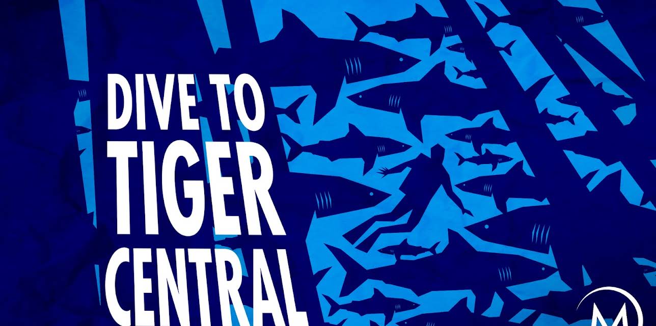 Dive to Tiger Central (2007)