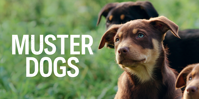 Muster Dogs, Season 1