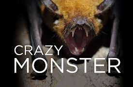 Crazy Monster: Bats