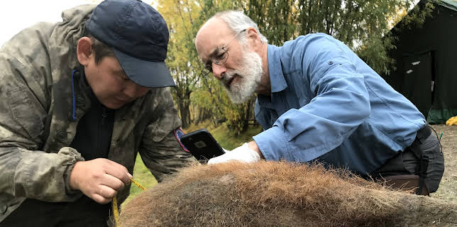 21:00: Lost Beasts of the Ice Age | Discovery Science | 12/5 2025