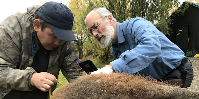 Lost Beasts of the Ice Age