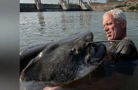 Jeremy Wade: Dark Waters Season 1: Italy's Lake Monster