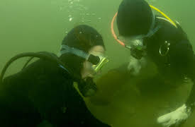 Bering Sea Gold: Episode 2