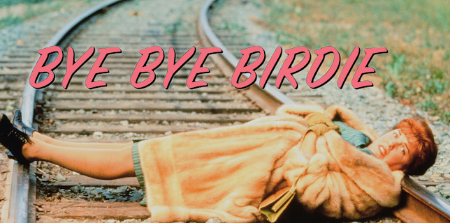 Bye Bye Birdie (1995)