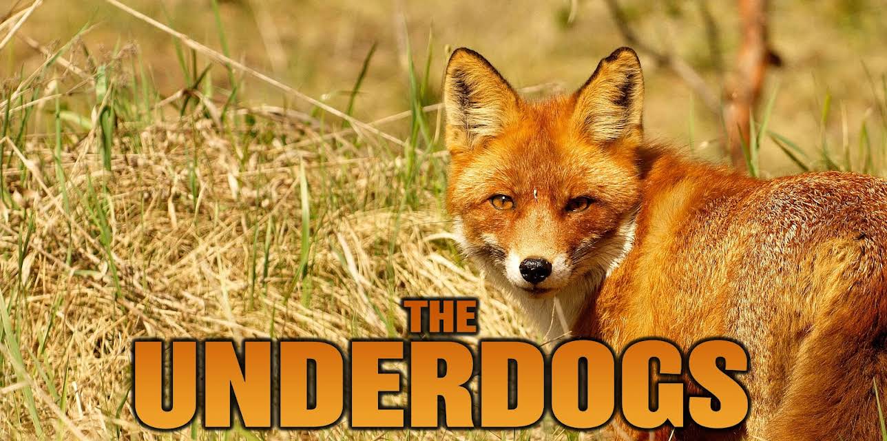 The Underdogs (2017)