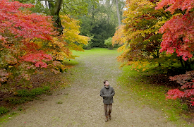 The Secret Life of Trees: Birth