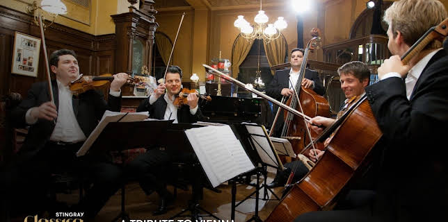 A Tribute to Vienna (2011)