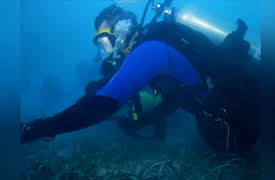 Rob Riggle: Global Investigator Season 1: Pirate Booty