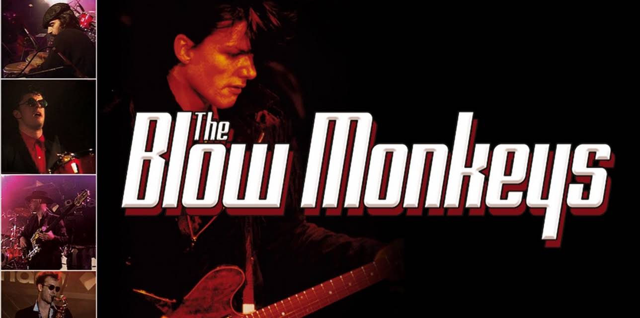The Blow Monkeys - Live From London (2018)