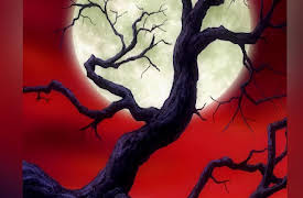 D. Gray Man Season 1: Tombstone of Memories