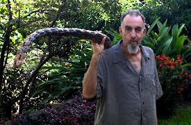 Painting With John, Season 1: Elephant