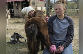 Our Wild Life Season 1: Empty Nest