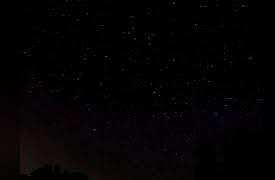 Wild Photo Adventures: Photographing the Night Sky