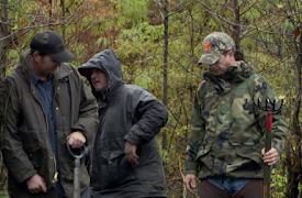 Swamp Loggers: Sumpfeber