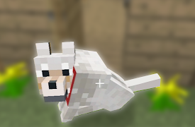 Minecraft Favorites: Meet my dog Barry!