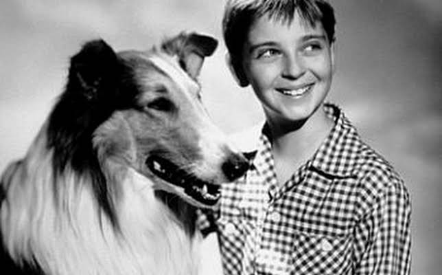Tommy Rettig