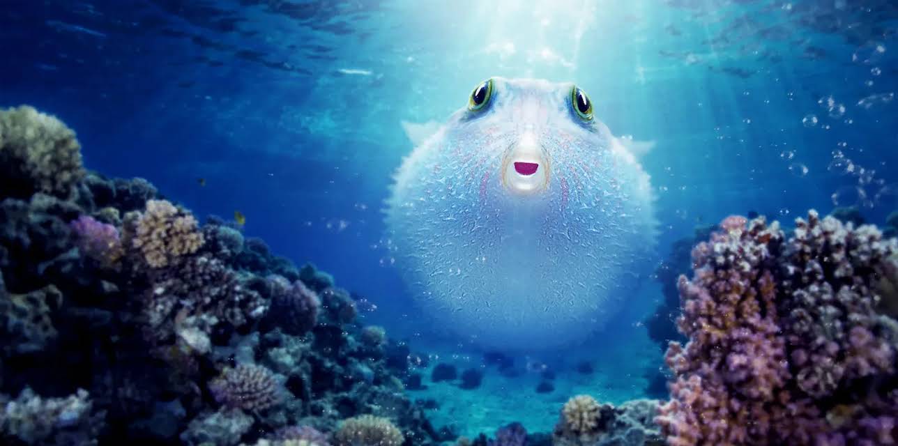 Puff: Wonders of the Reef (2021)