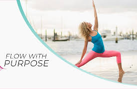 Flow with Purpose: Partner Flow