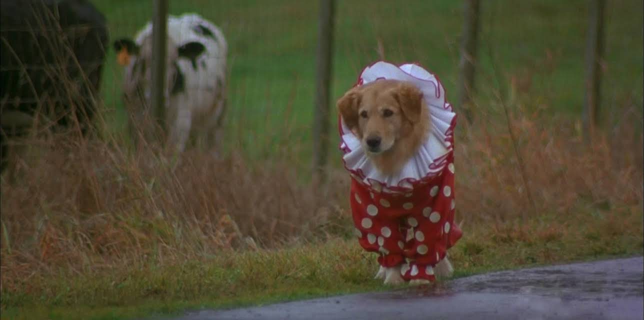 Air Bud (1998)