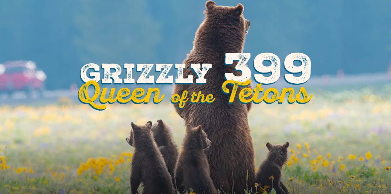 Grizzly 399: Queen of the Tetons (2024)