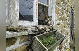 Stone House Revival Season 1: Saving a 1717 Spring House