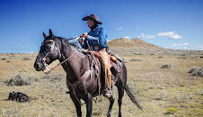 Dino Hunters (S1 E6)