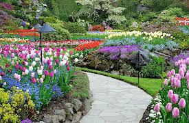 How to Grow Anything: Your Best Garden and Landscape in 6 Lessons: Plan the Garden of Your Dreams