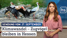 hessenschau