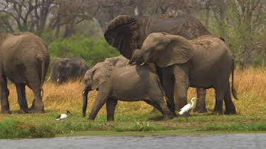 10:20: Stadt Land Kunst Spezial | Arte | 3/28 2026